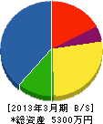 大阪ポンプ製作所 貸借対照表 2013年3月期