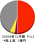 渡邊建設 損益計算書 2009年12月期