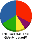 佐藤渡辺 貸借対照表 2009年3月期