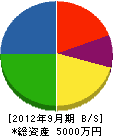 大雄電業 貸借対照表 2012年9月期