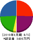 東和建設 貸借対照表 2010年6月期