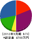 藤井商会 貸借対照表 2012年9月期