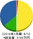 川瀬設備管理 貸借対照表 2010年3月期
