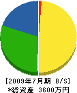 藤井組 貸借対照表 2009年7月期
