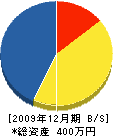樹建設 貸借対照表 2009年12月期 樹建設 貸借対照表 2009年12月期