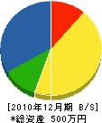 岡澤鉄工所 貸借対照表 2010年12月期