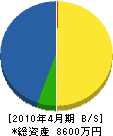 北澤工務店 貸借対照表 2010年4月期