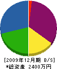 陽光建設 貸借対照表 2009年12月期 陽光建設 貸借対照表 2009年12月期