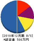 遠藤電気商会 貸借対照表 2010年12月期