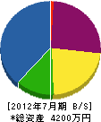 松元組 貸借対照表 2012年7月期