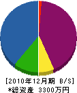 溝田工務店 貸借対照表 2010年12月期