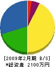 柴崎ポンプ店 貸借対照表 2009年2月期