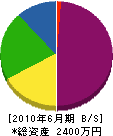 黒島鉄工 貸借対照表 2010年6月期