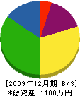 松本塗装工業 貸借対照表 2009年12月期