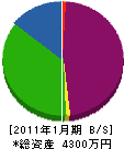 江口電気 貸借対照表 2011年1月期