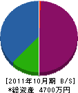 横須賀電機 貸借対照表 2011年10月期