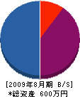 石田テック 貸借対照表 2009年8月期