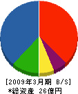 昭電テックス 貸借対照表 2009年3月期