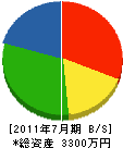 松橋電気 貸借対照表 2011年7月期
