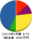 松井林設 貸借対照表 2010年5月期