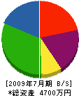 鈴木組 貸借対照表 2009年7月期
