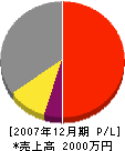 石田組 損益計算書 2007年12月期