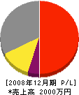 共立工業 損益計算書 2008年12月期