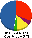 智山建設 貸借対照表 2011年5月期
