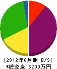岡村建設 貸借対照表 2012年6月期