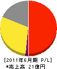 日本自動ドア 損益計算書 2011年6月期