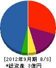 九州ビナン 貸借対照表 2012年9月期