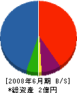 徳島電工舎 貸借対照表 2008年6月期