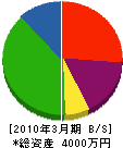 小泉組 貸借対照表 2010年3月期