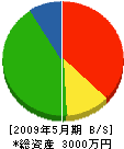 大川重機 貸借対照表 2009年5月期
