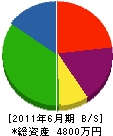 田村塗装工業 貸借対照表 2011年6月期