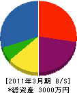 北岡開発 貸借対照表 2011年3月期