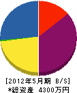 川田屋 貸借対照表 2012年5月期