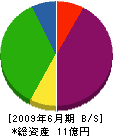 疋田建設 貸借対照表 2009年6月期