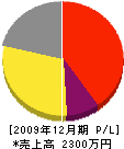 竹内造園 損益計算書 2009年12月期