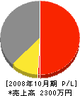 イトー建設 損益計算書 2008年10月期