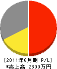 武田組 損益計算書 2011年6月期