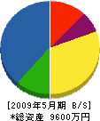 角田水道工業所 貸借対照表 2009年5月期