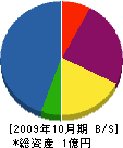 シグマ 貸借対照表 2009年10月期