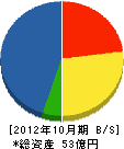 奥田工務店 貸借対照表 2012年10月期
