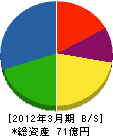 東亜電機工業 貸借対照表 2012年3月期