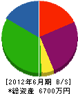 太昭工業 貸借対照表 2012年6月期