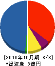 谷垣工業 貸借対照表 2010年10月期