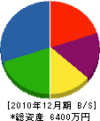 池田塗装 貸借対照表 2010年12月期