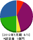 塚本建設 貸借対照表 2012年5月期