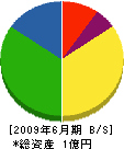 芦田産業 貸借対照表 2009年6月期